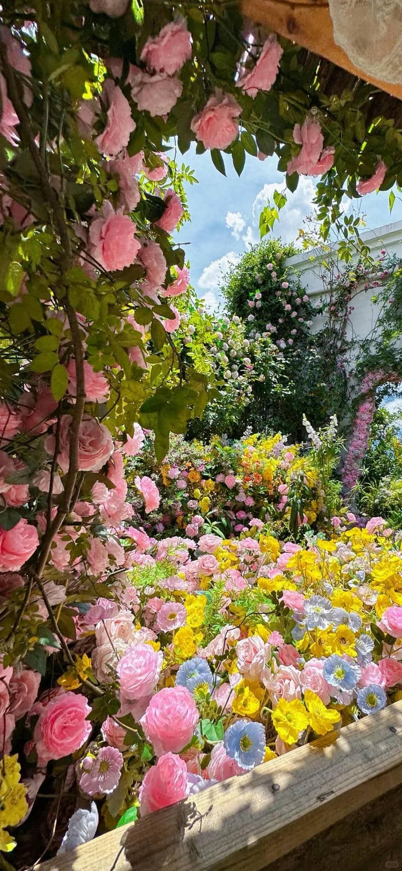 hình nền Iphone (52)