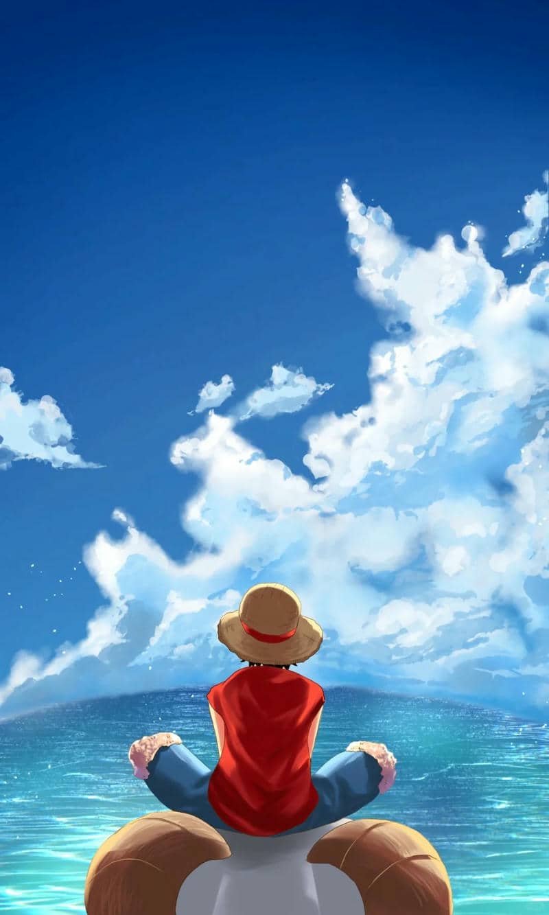 hình nền Luffy (13)