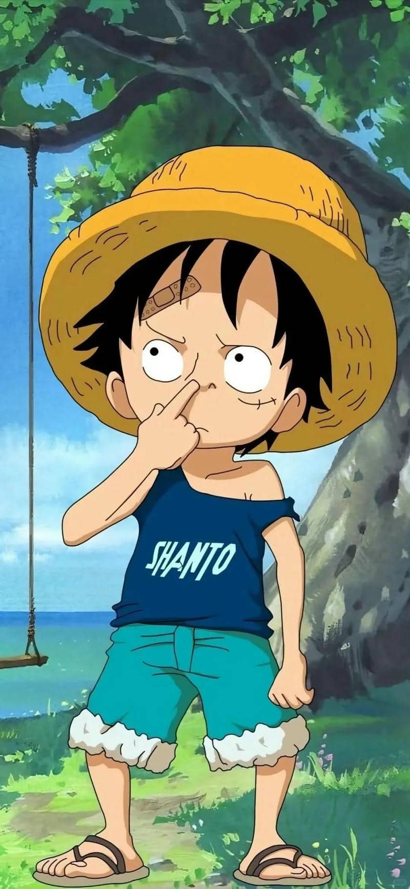 hình nền Luffy (22)