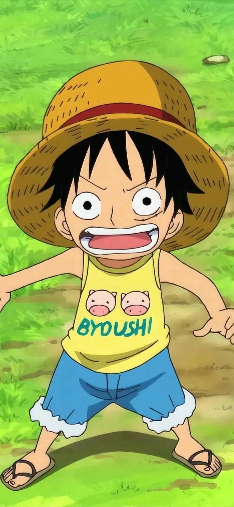 hình nền Luffy (23)