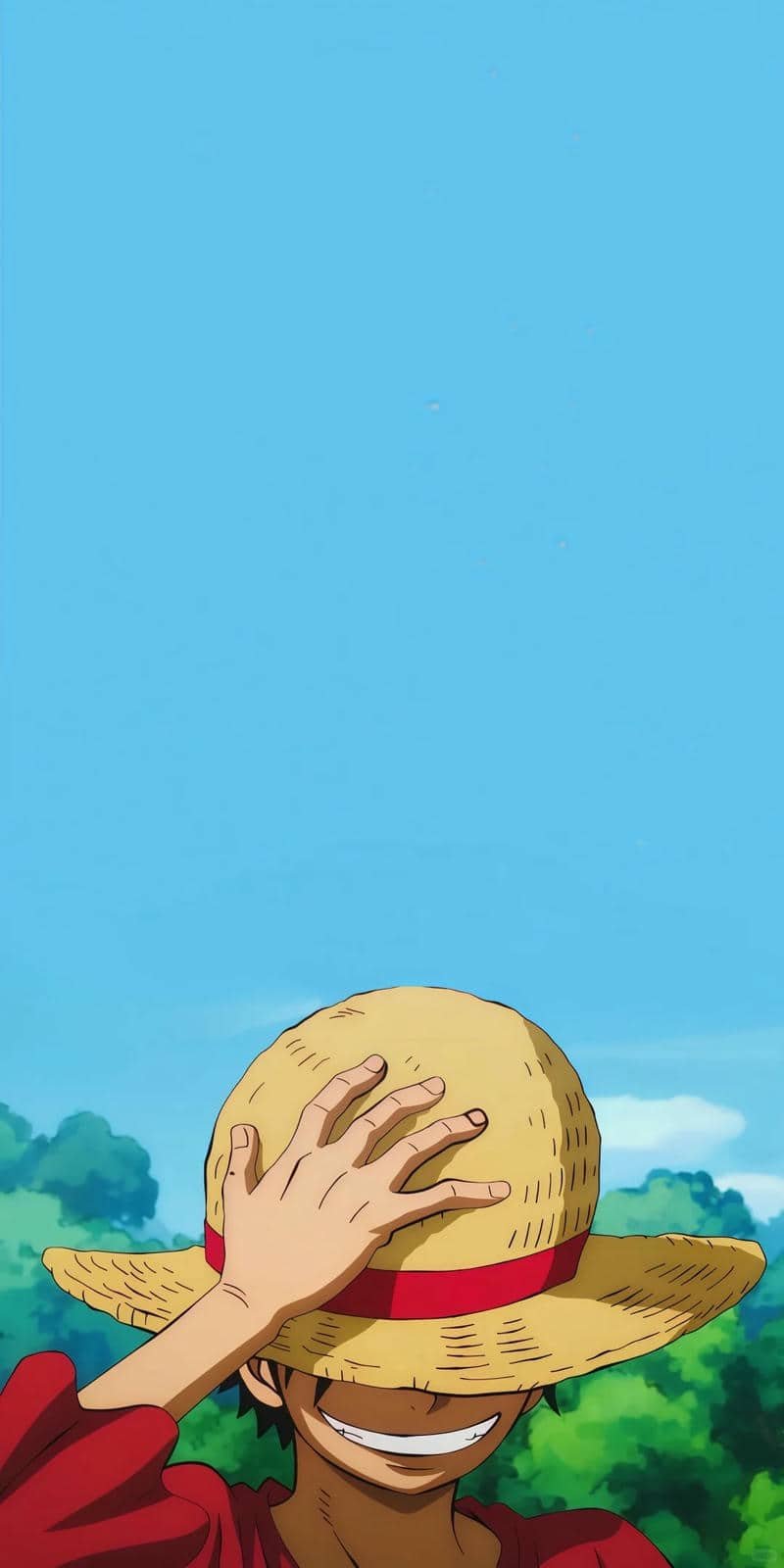 hình nền Luffy (28)