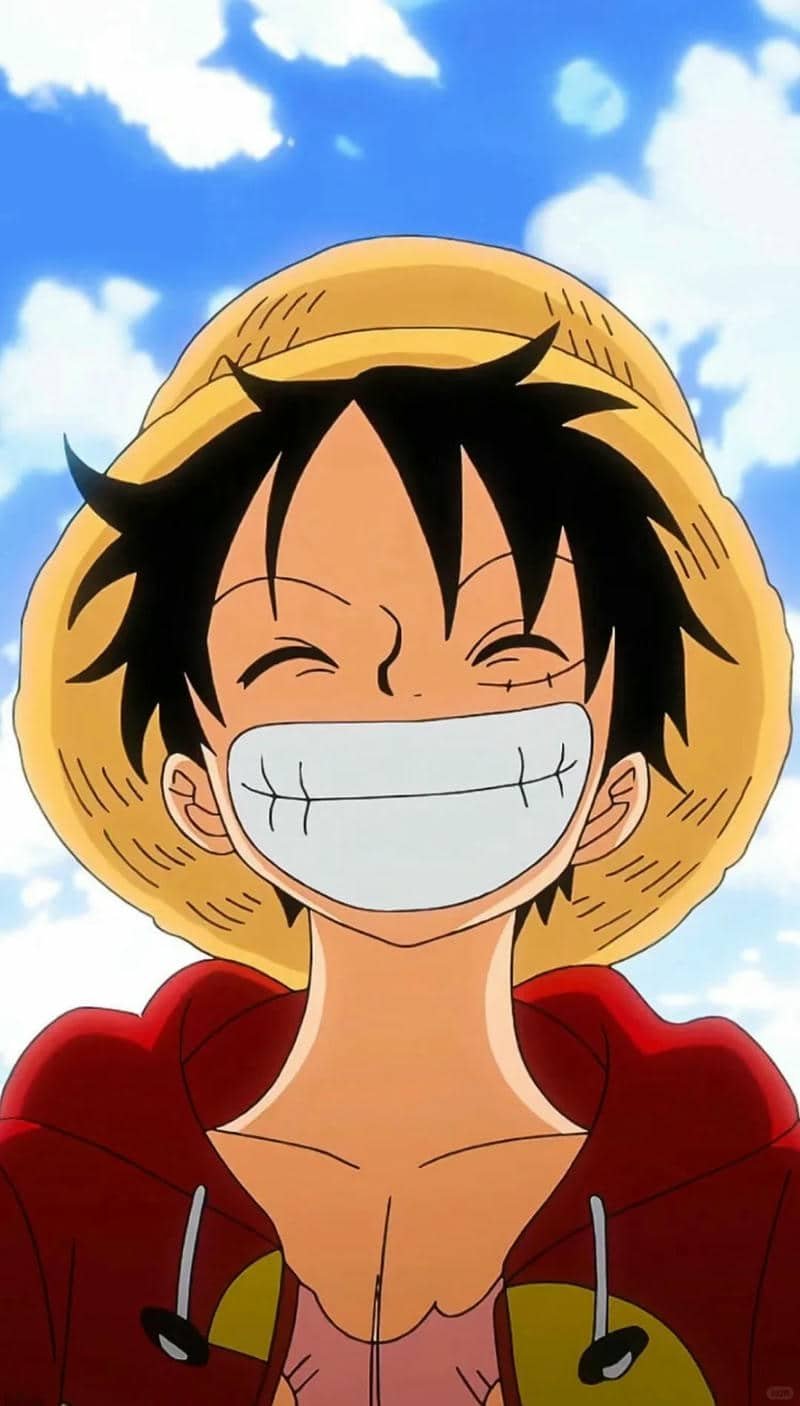 hình nền Luffy (33)