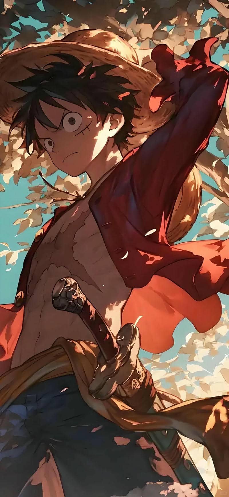 hình nền Luffy (38)