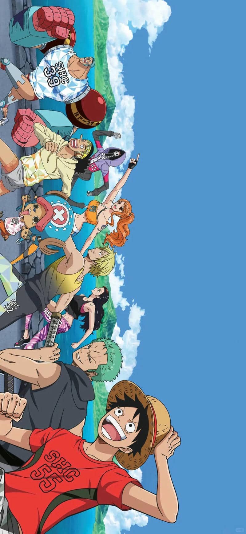 hình nền One Piece (7)