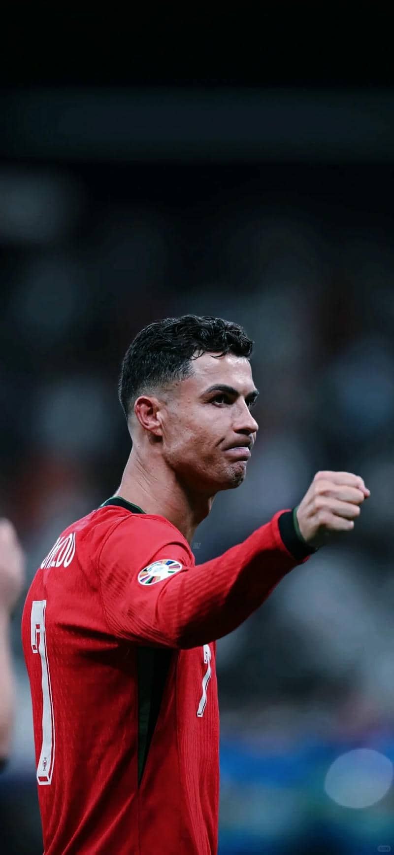 hình nền Ronaldo (11)