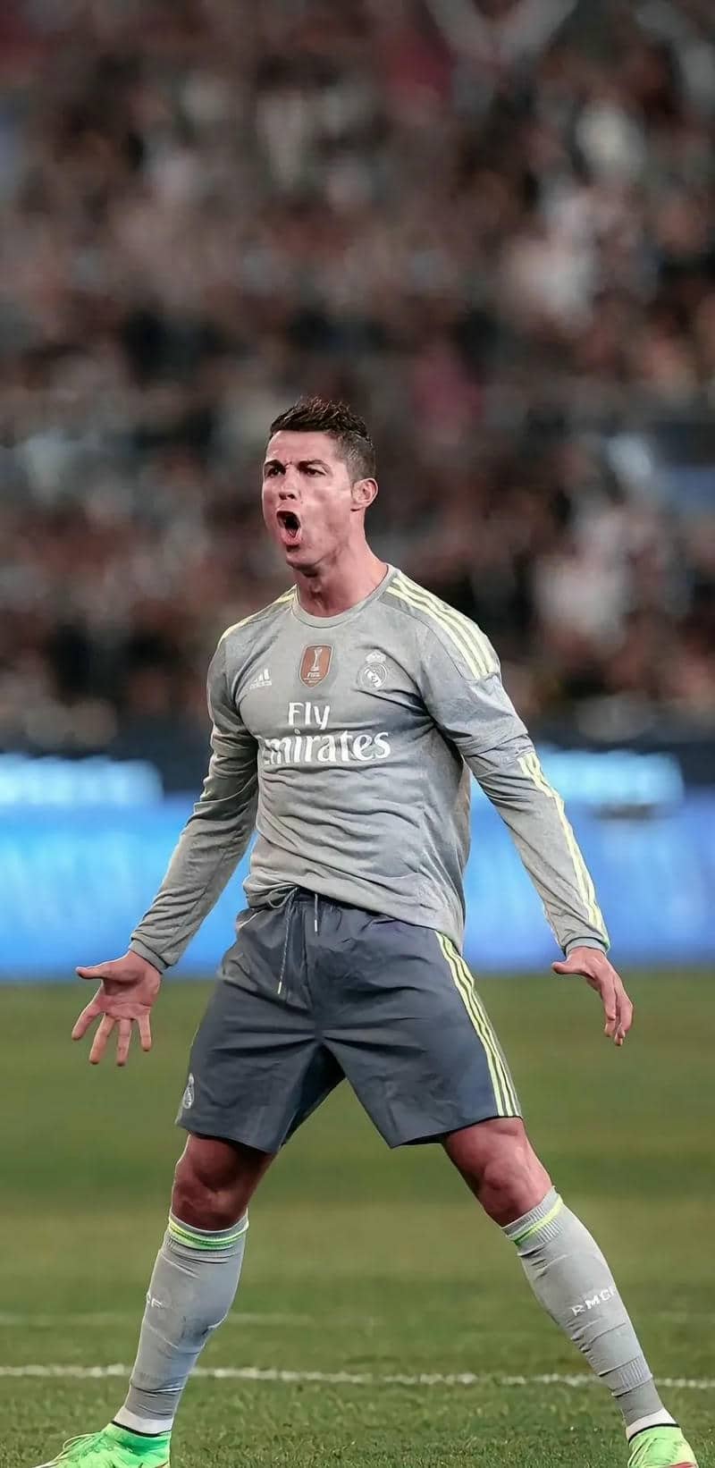 hình nền Ronaldo (14)