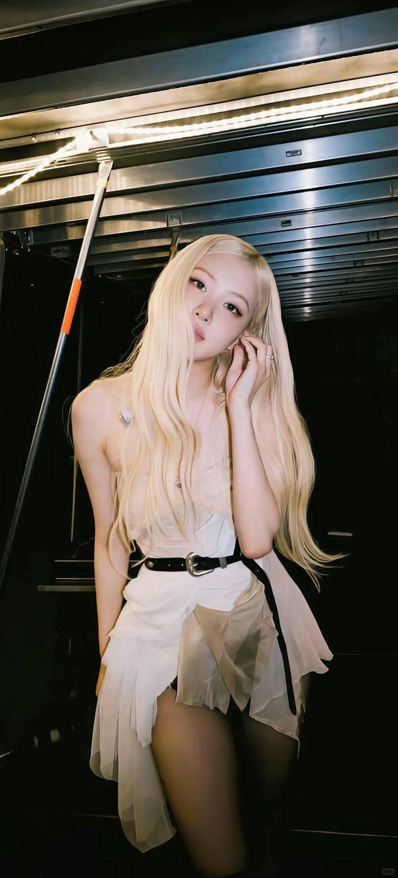 hình nền Rose (24)