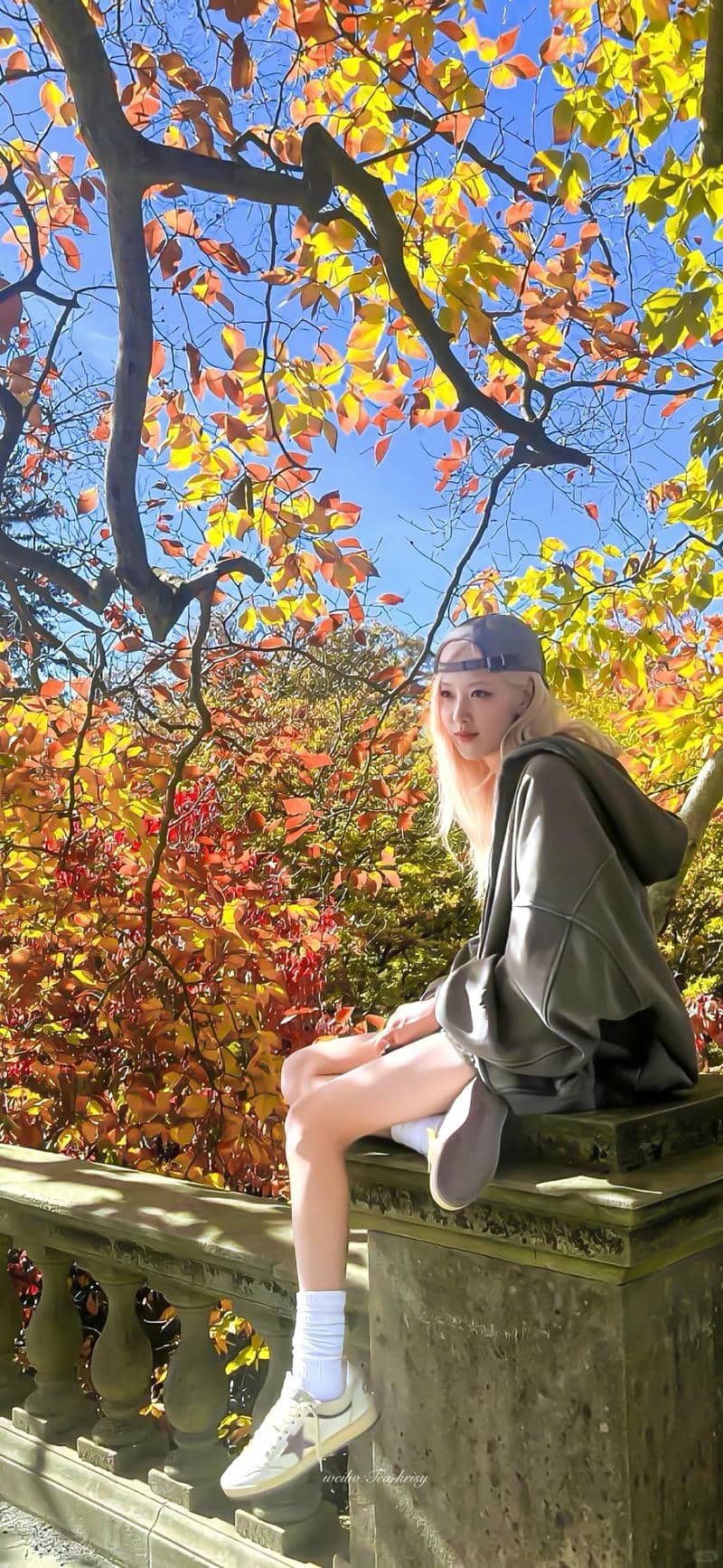 hình nền Rose (33)