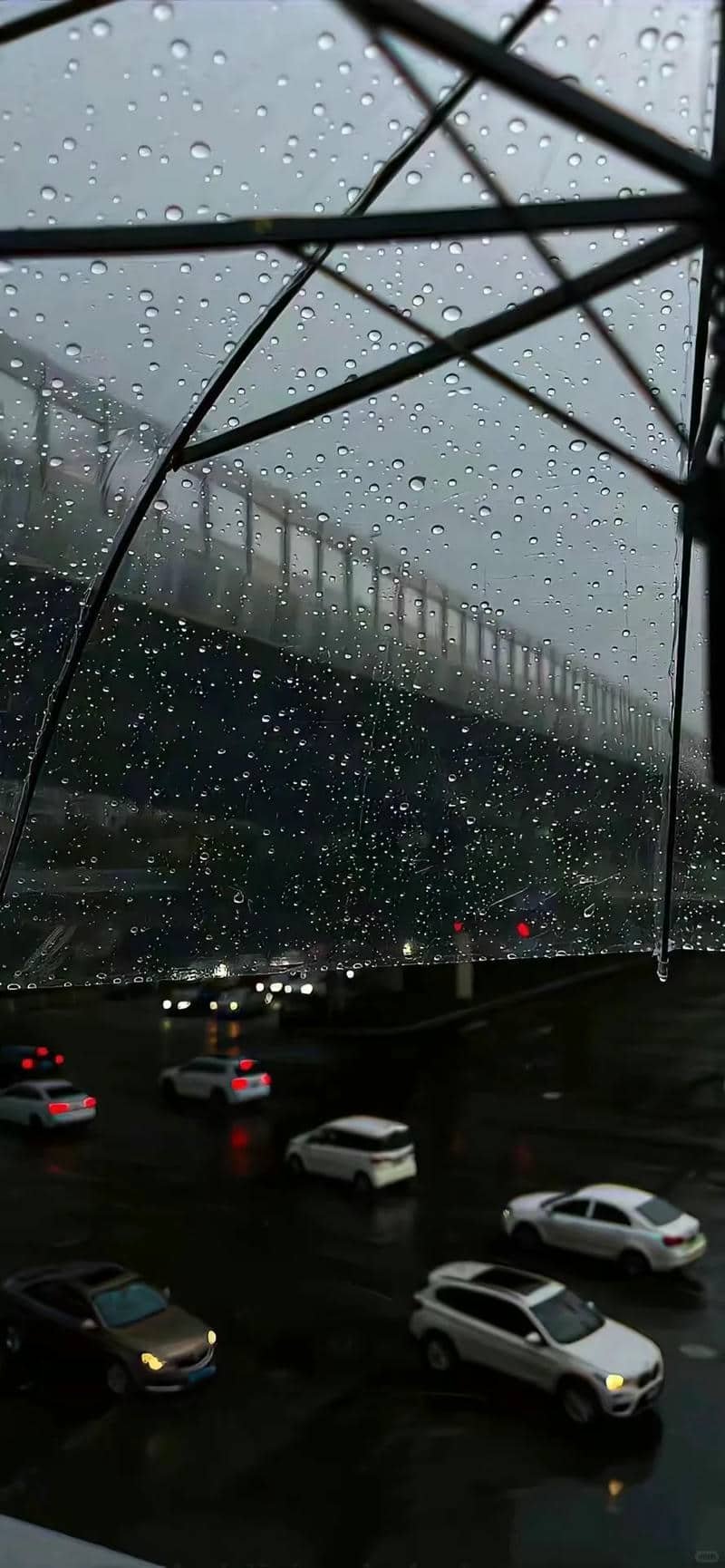 hình nền buồn (14)