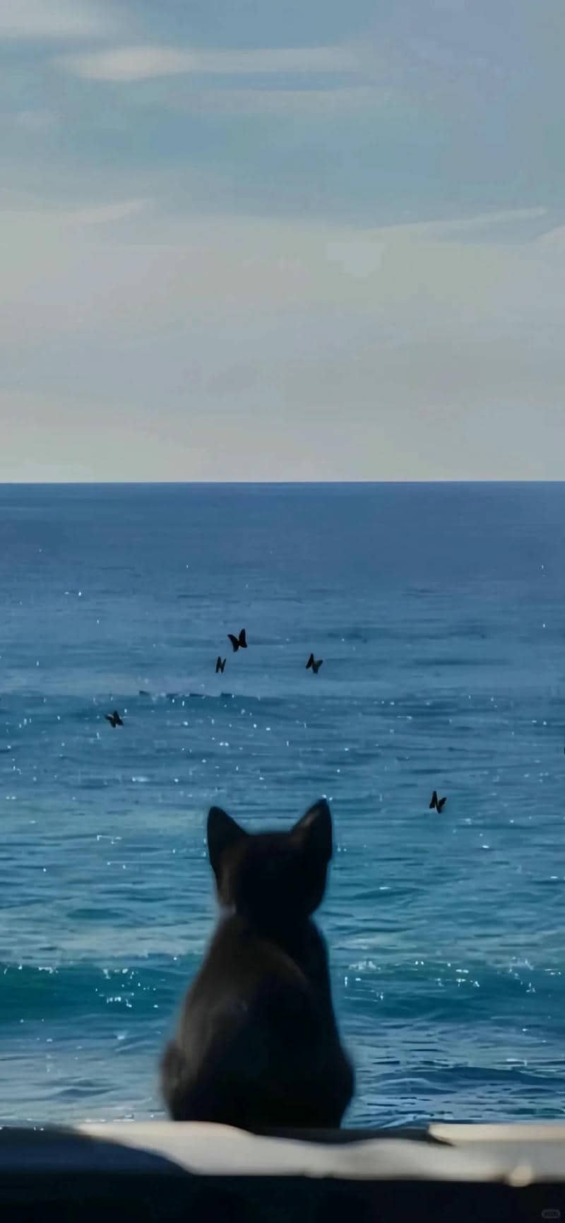 hình nền buồn (19)