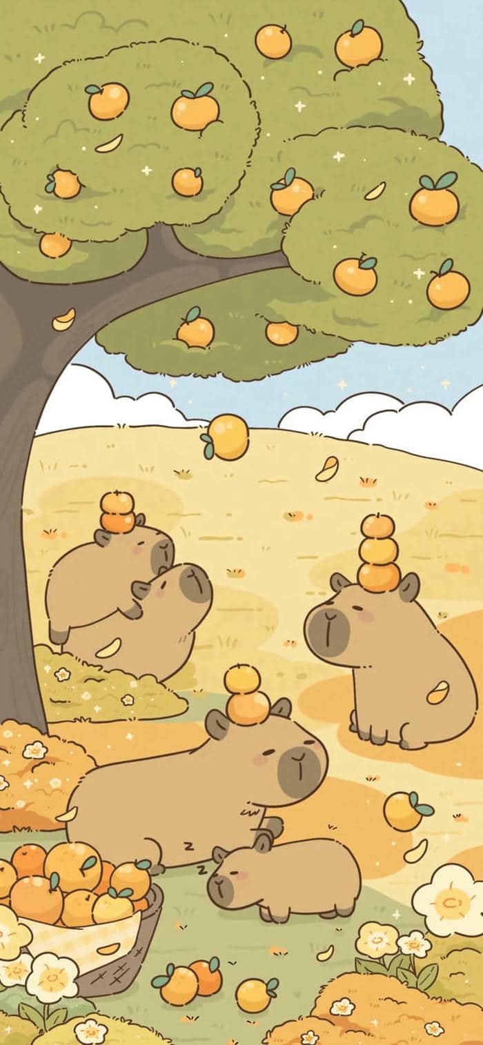 hình nền capybara (12)