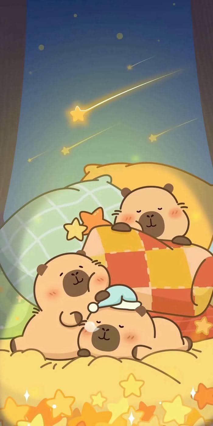 hình nền capybara (21)