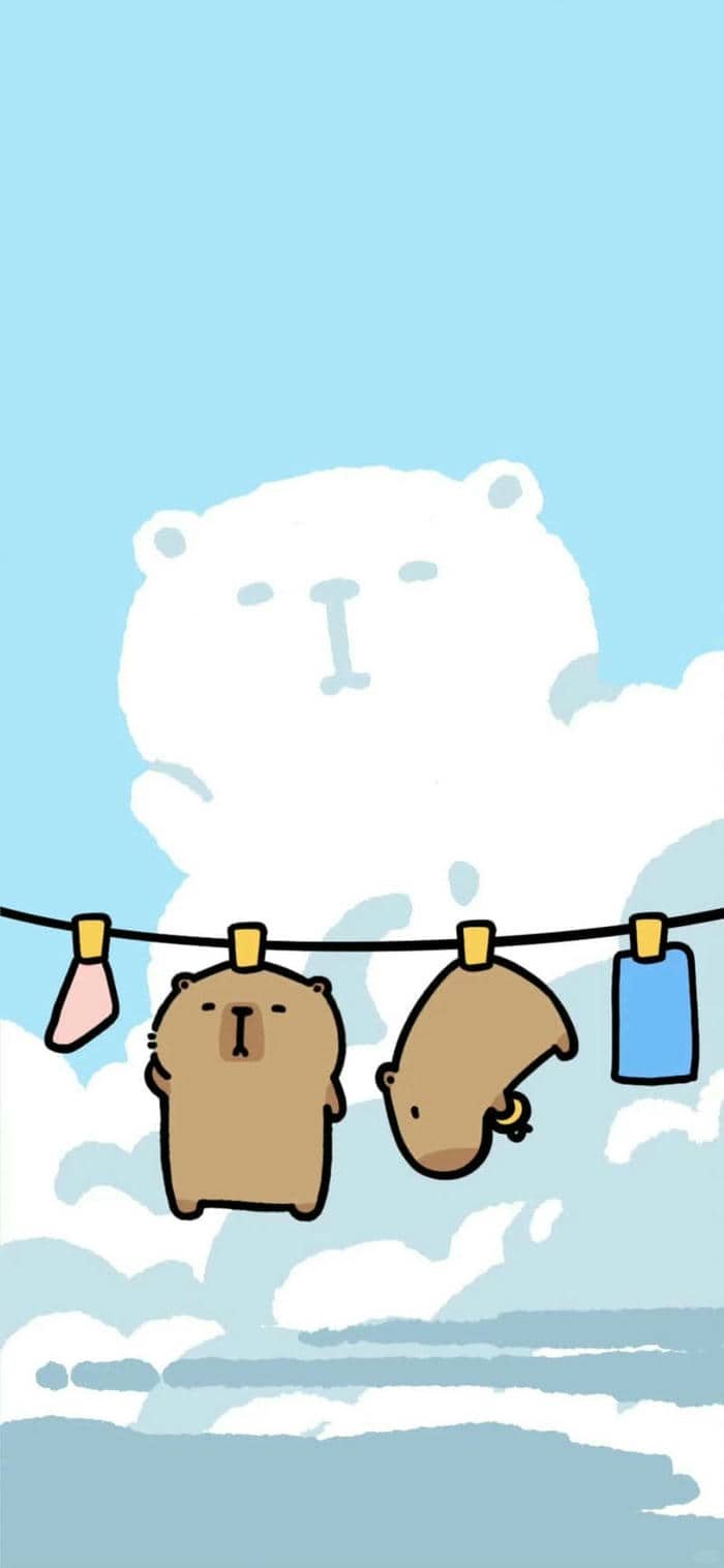 hình nền capybara (25)