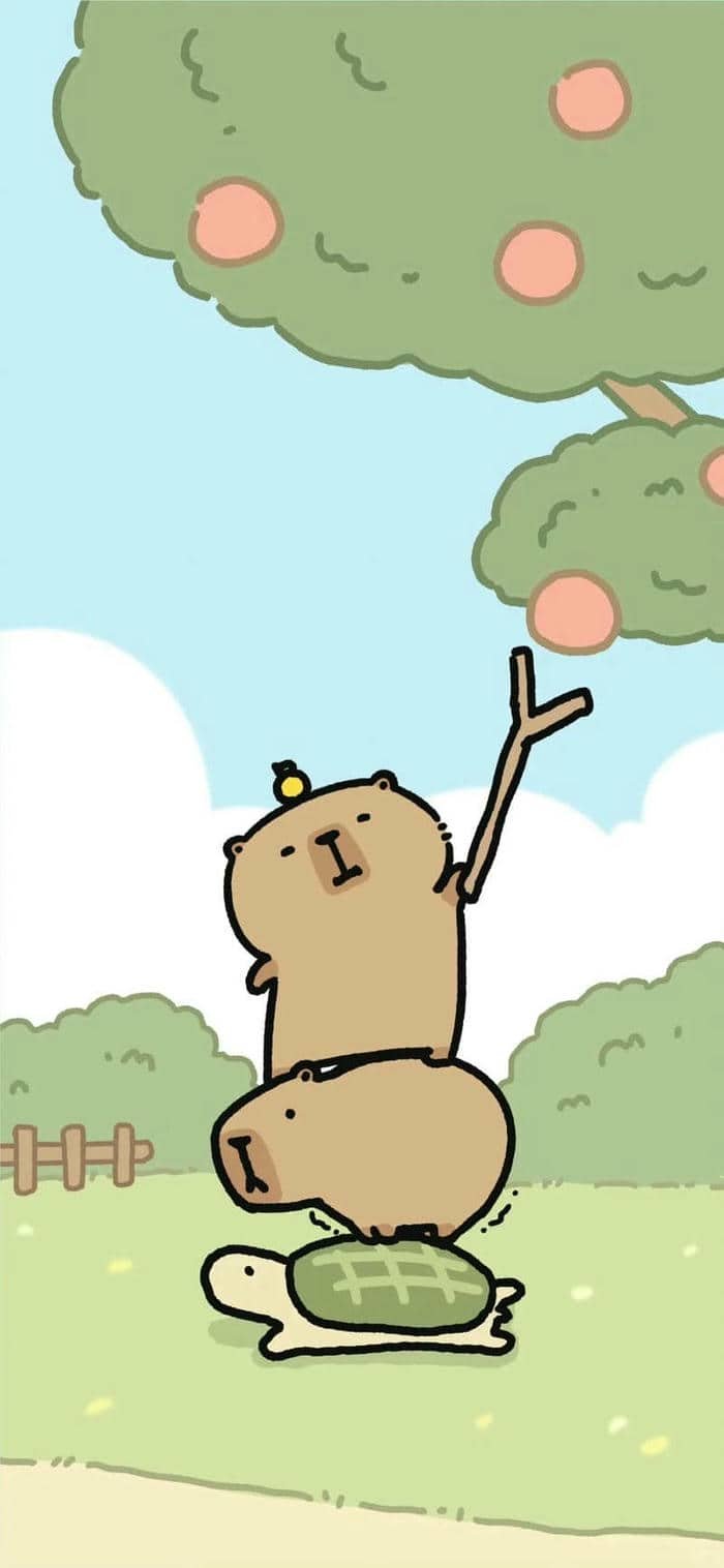 hình nền capybara (26)