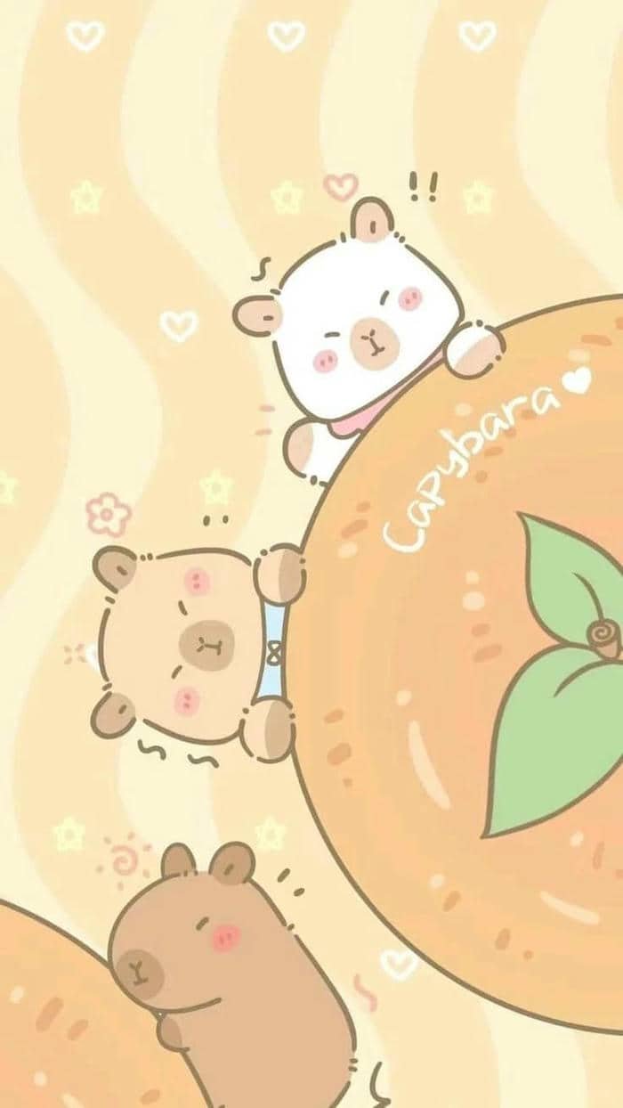 hình nền capybara (5)