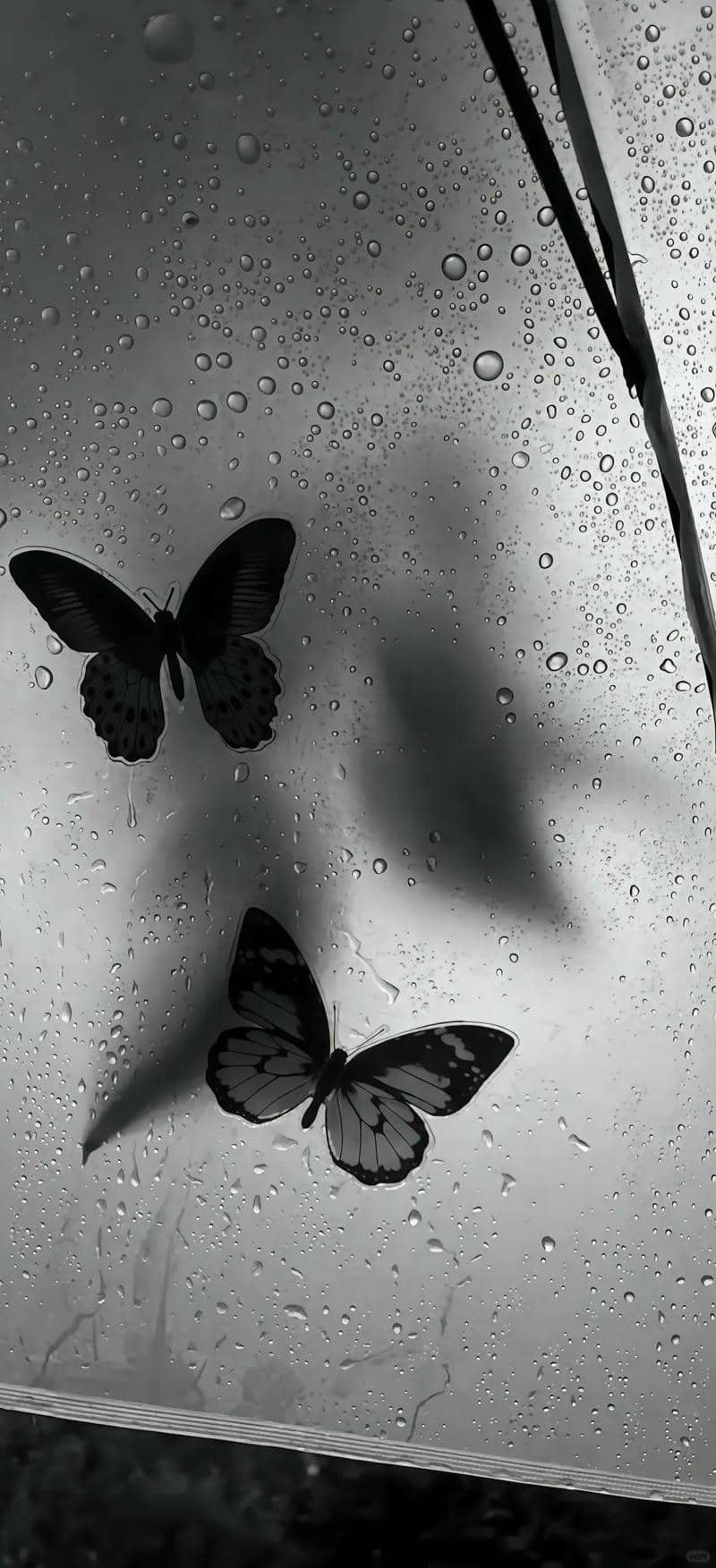 hình nền đen trắng (10)