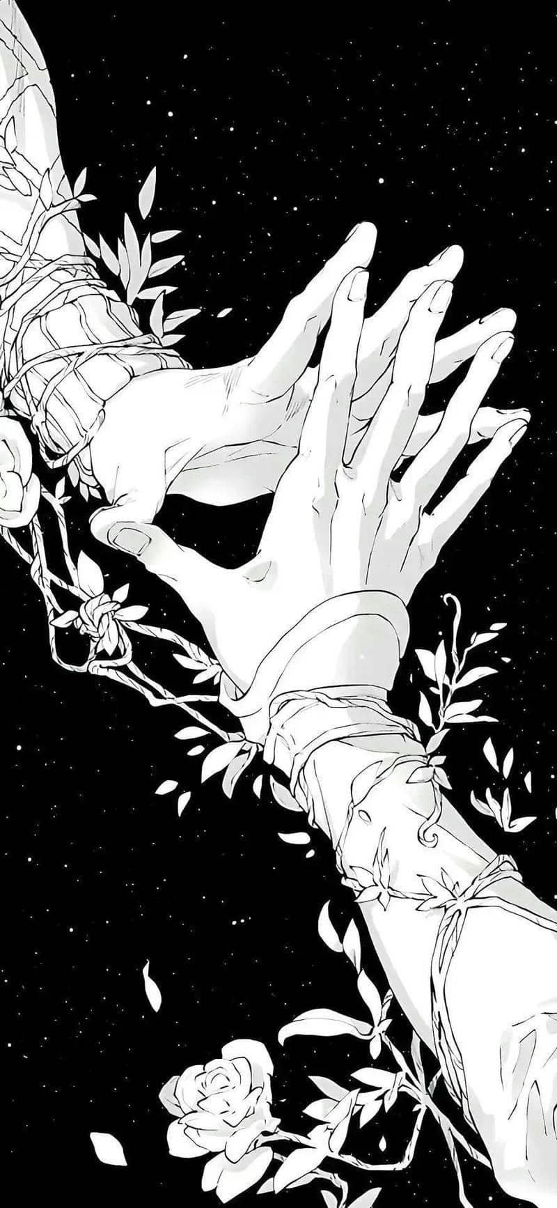 hình nền đen trắng (18)