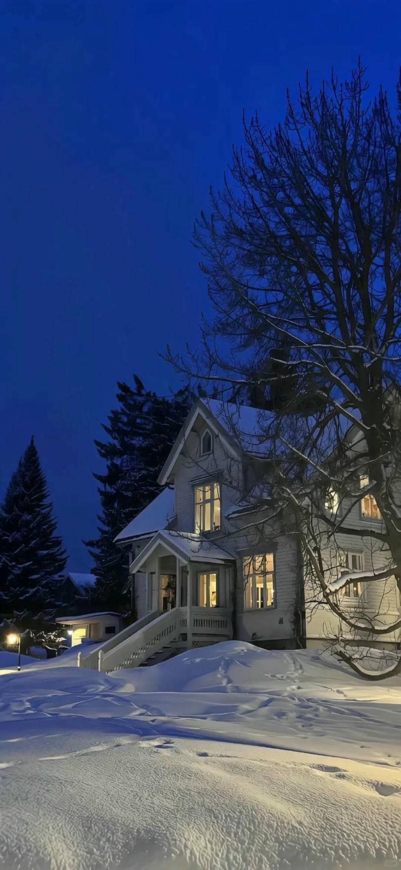 hình nền điện thoại (3)