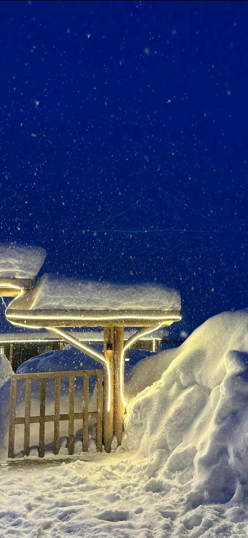 hình nền điện thoại (4)