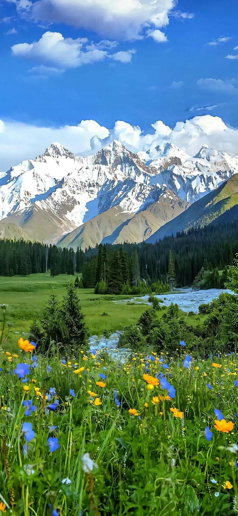 Bài viết liên quan terus