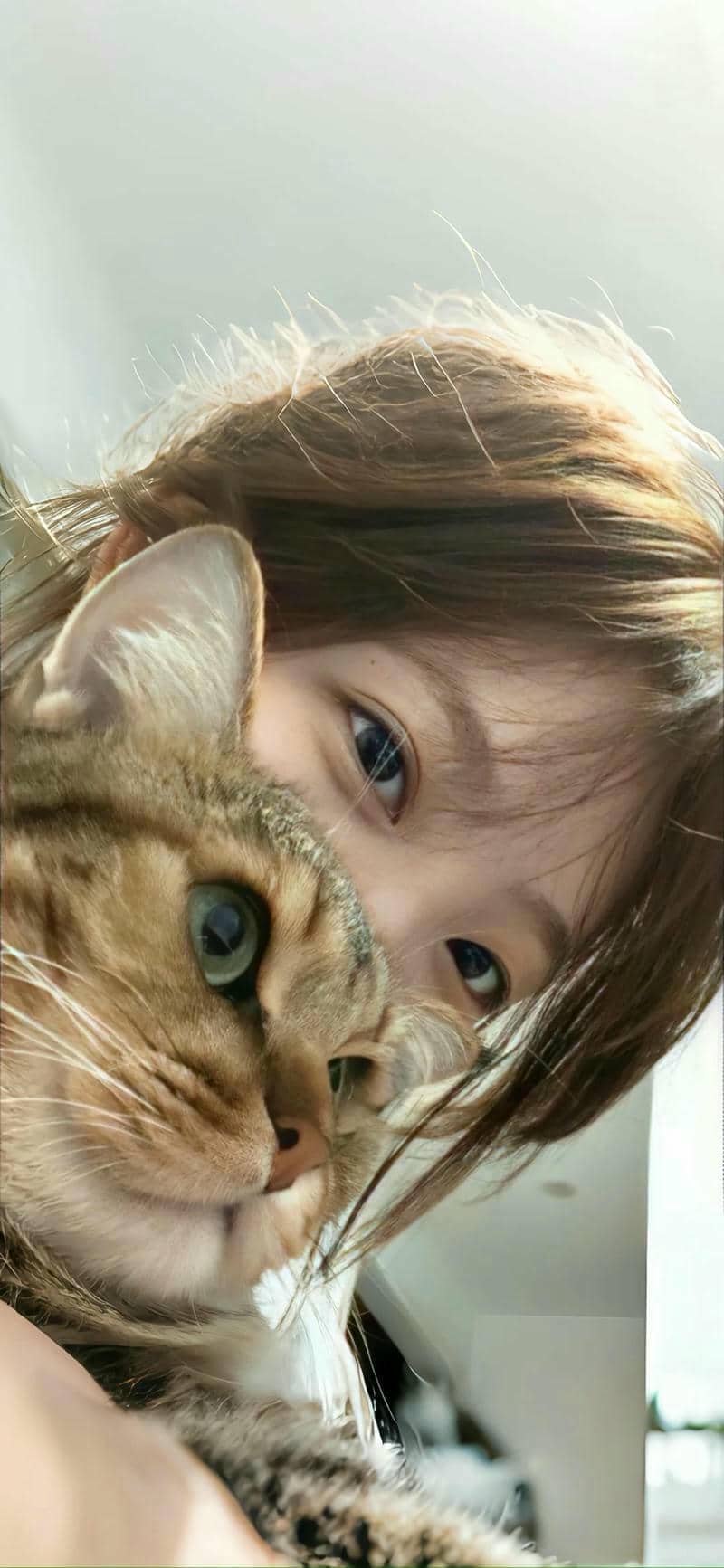 hình nền gái xinh (21)