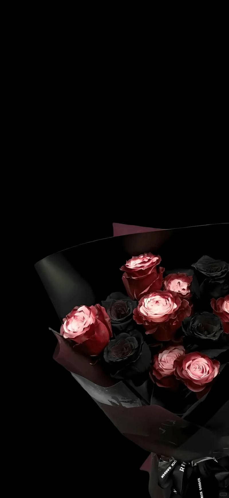 Thumbnail Khám phá 88+ hình nền hoa hồng đẹp, lãng mạn và cuốn hút