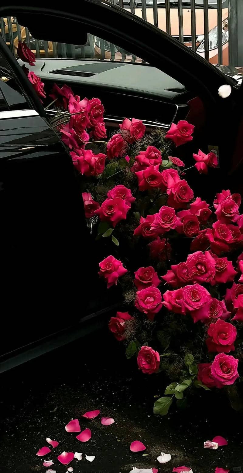 hình nền hoa hồng (11)