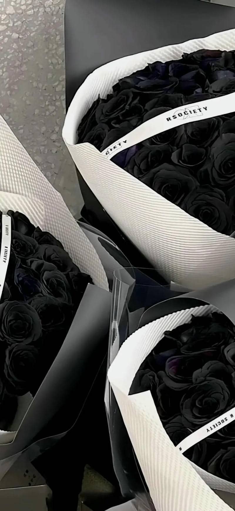 hình nền hoa hồng (16)