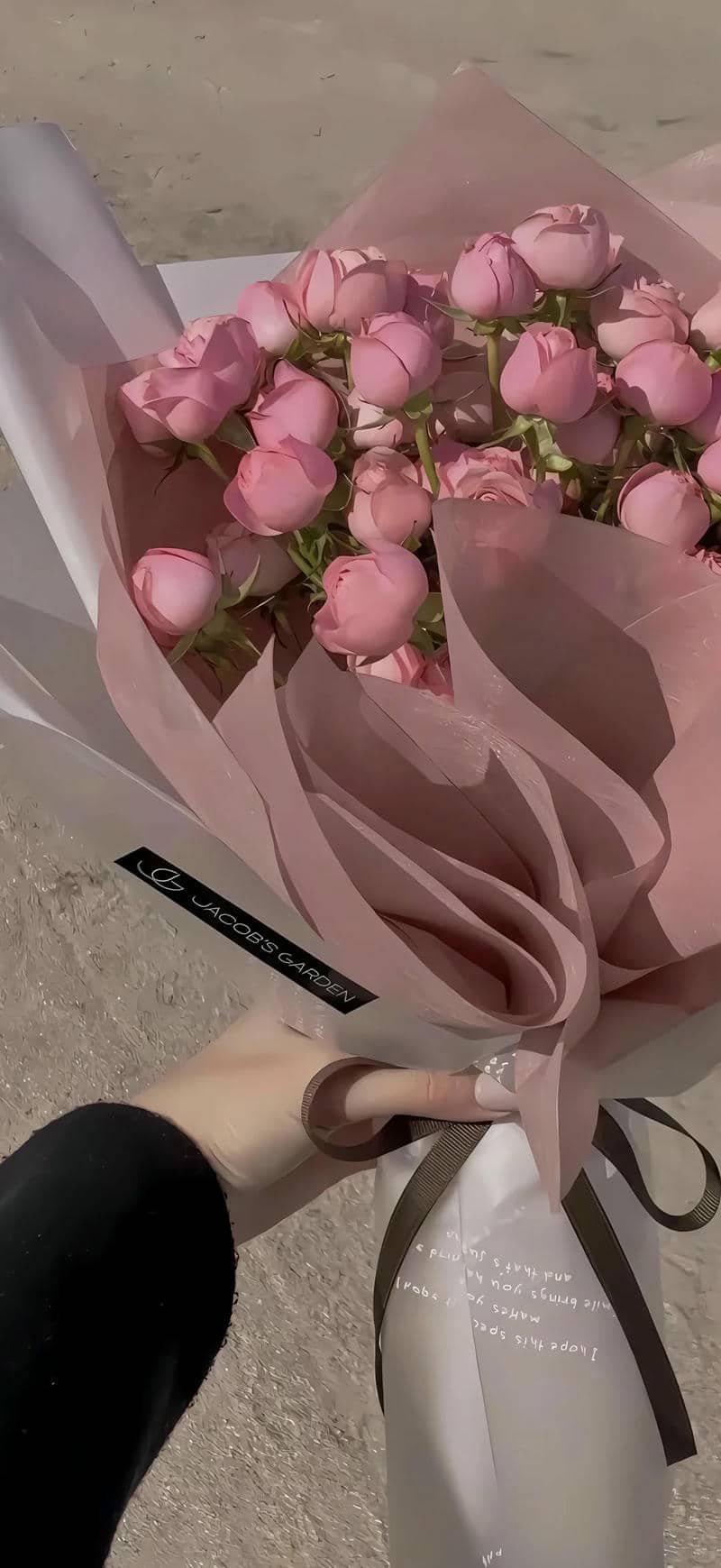 hình nền hoa hồng (18)