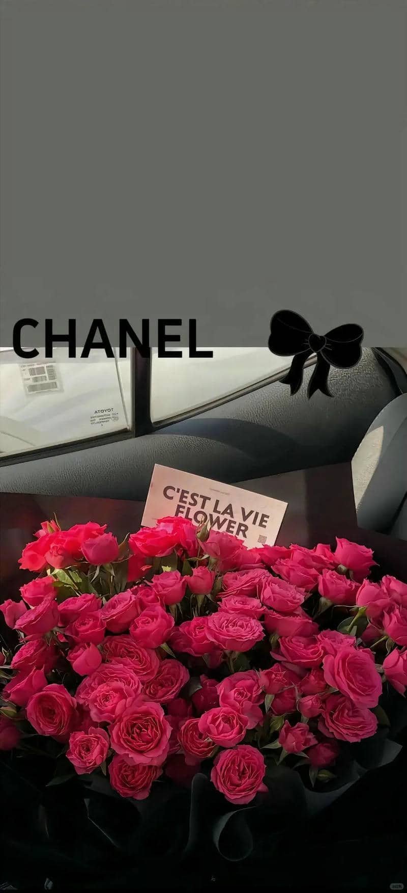 hình nền hoa hồng (19)