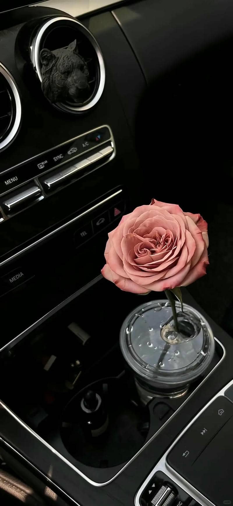 hình nền hoa hồng (22)