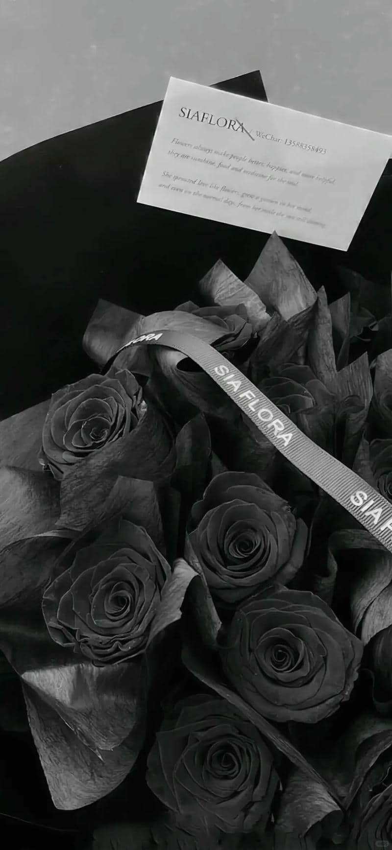 hình nền hoa hồng (25)