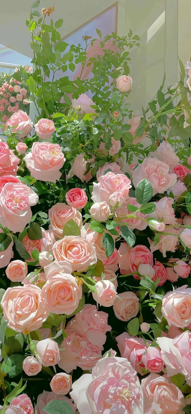 Bài viết liên quan terus