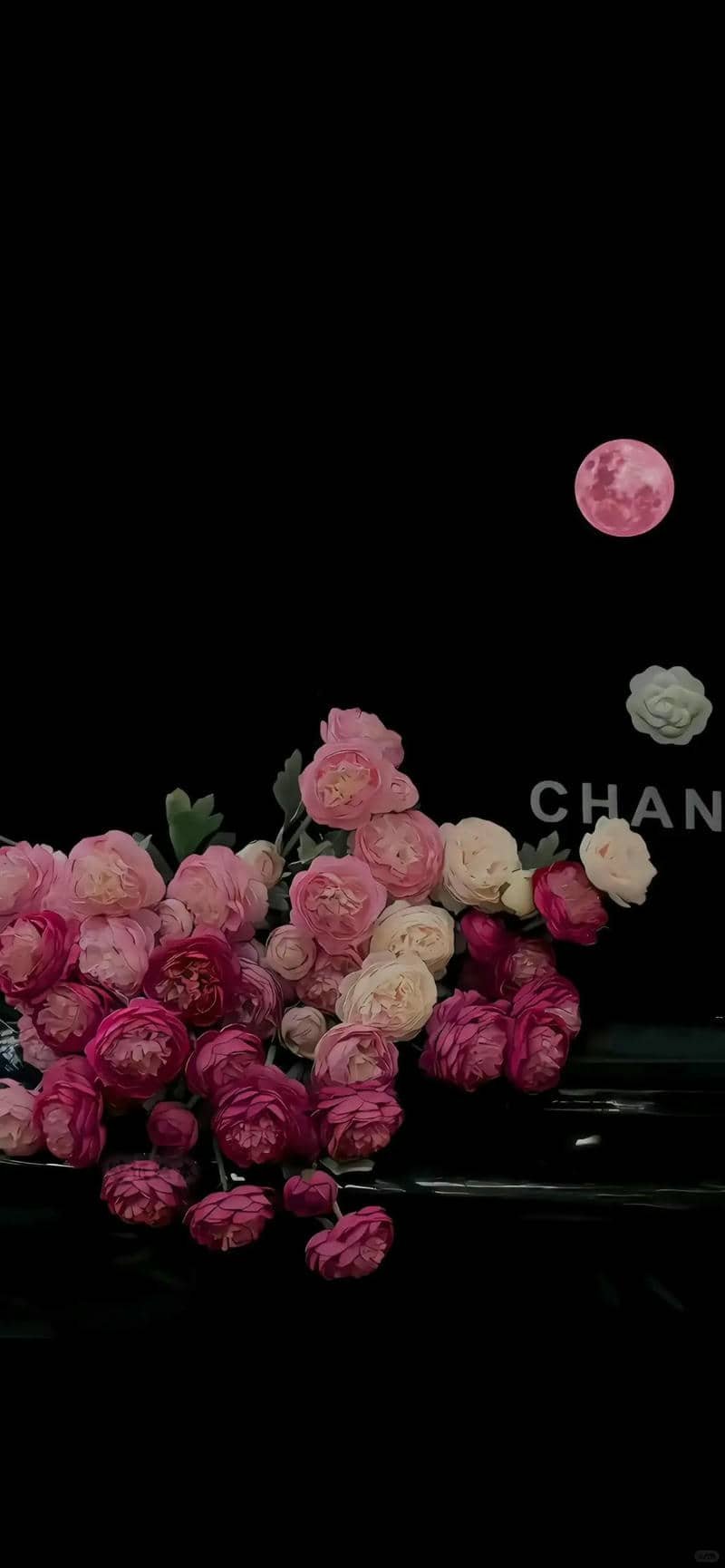 hình nền hoa hồng (32)