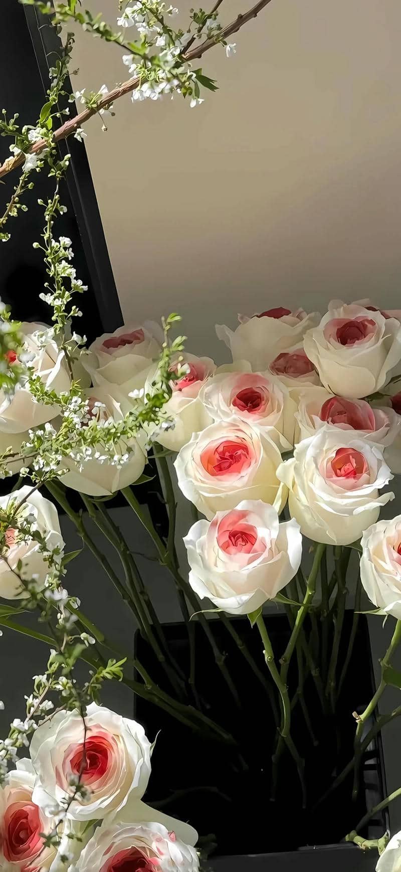 hình nền hoa hồng (9)