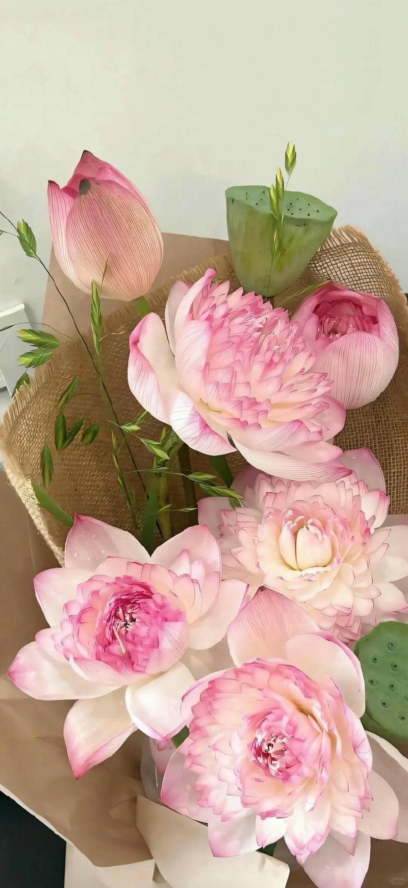 hình nền hoa sen (11)