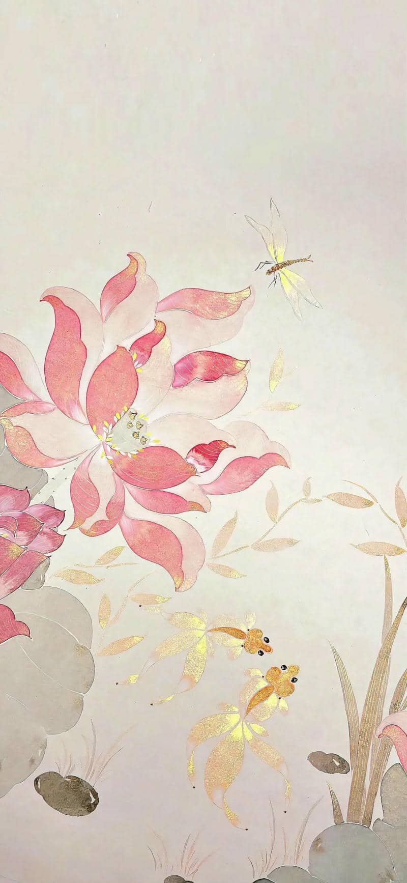 hình nền hoa sen (20)