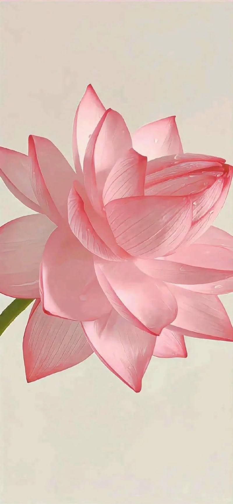 Bài viết liên quan terus