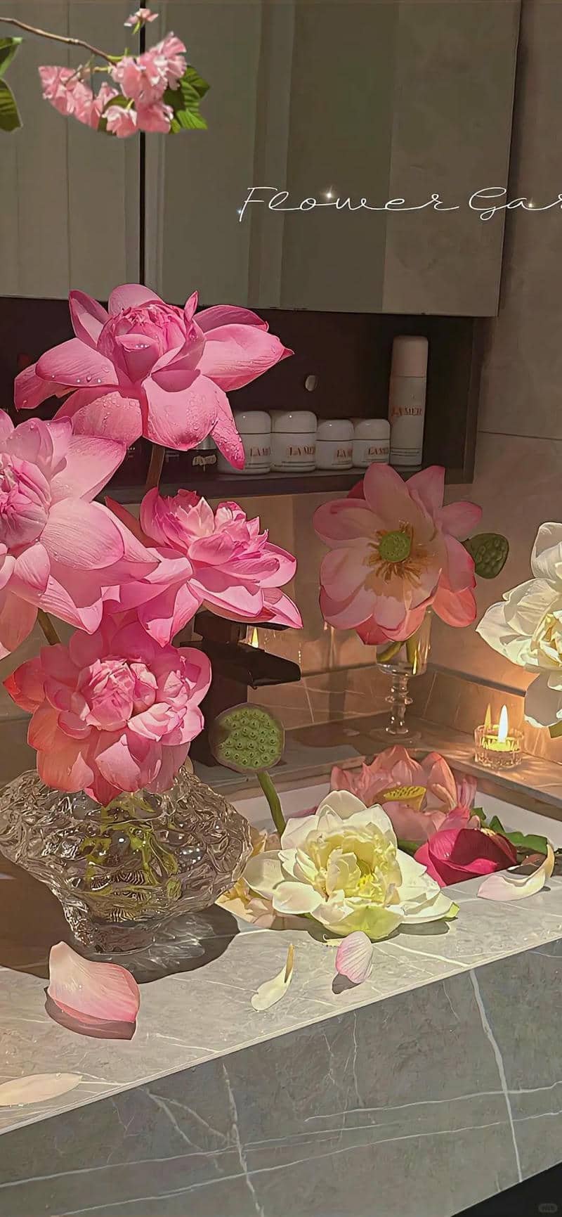 hình nền hoa sen (27)