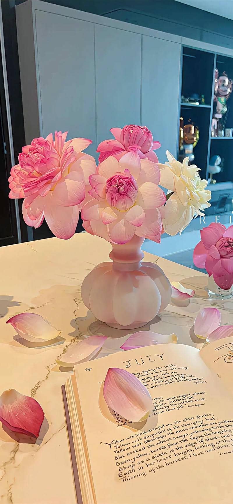 hình nền hoa sen (28)