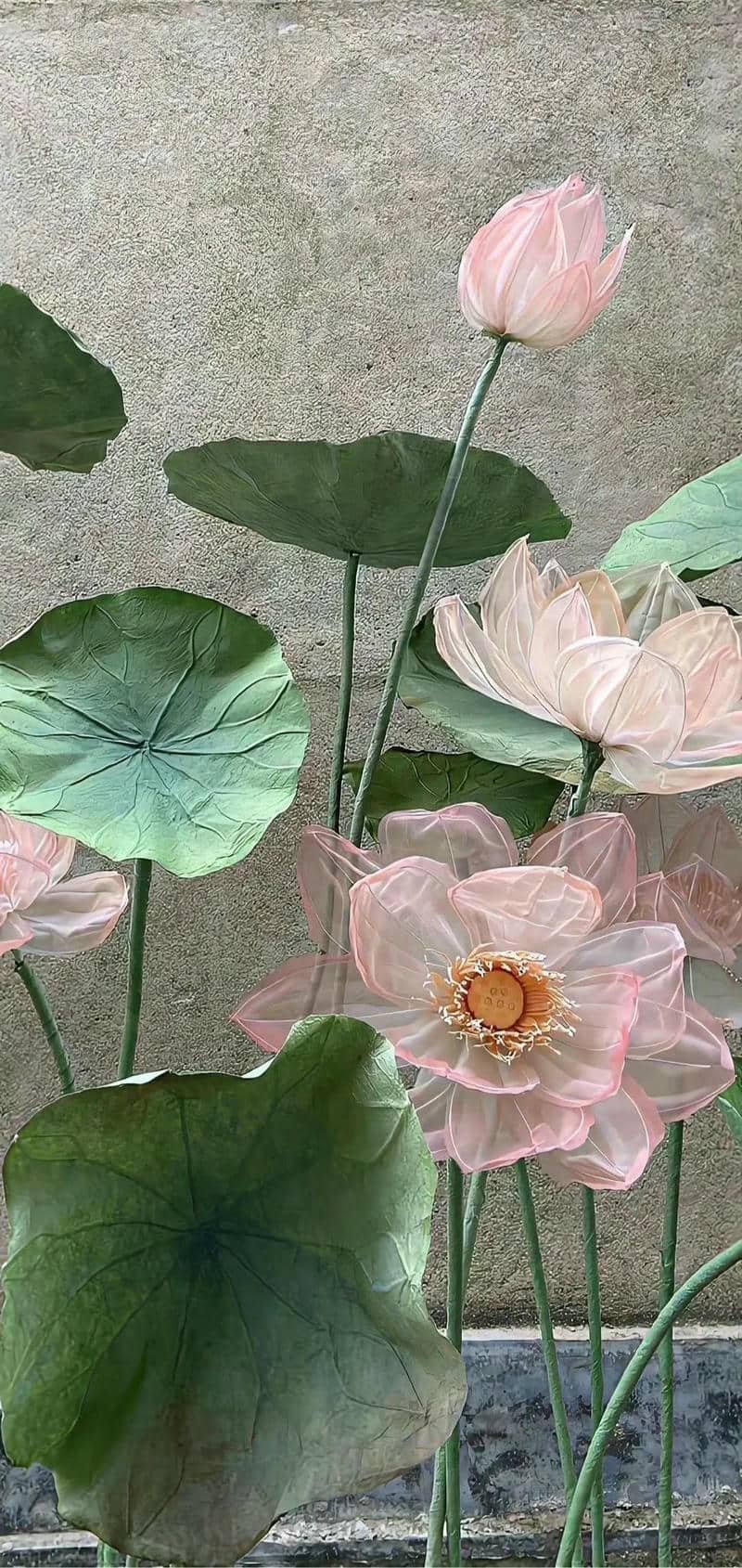 hình nền hoa sen (3)