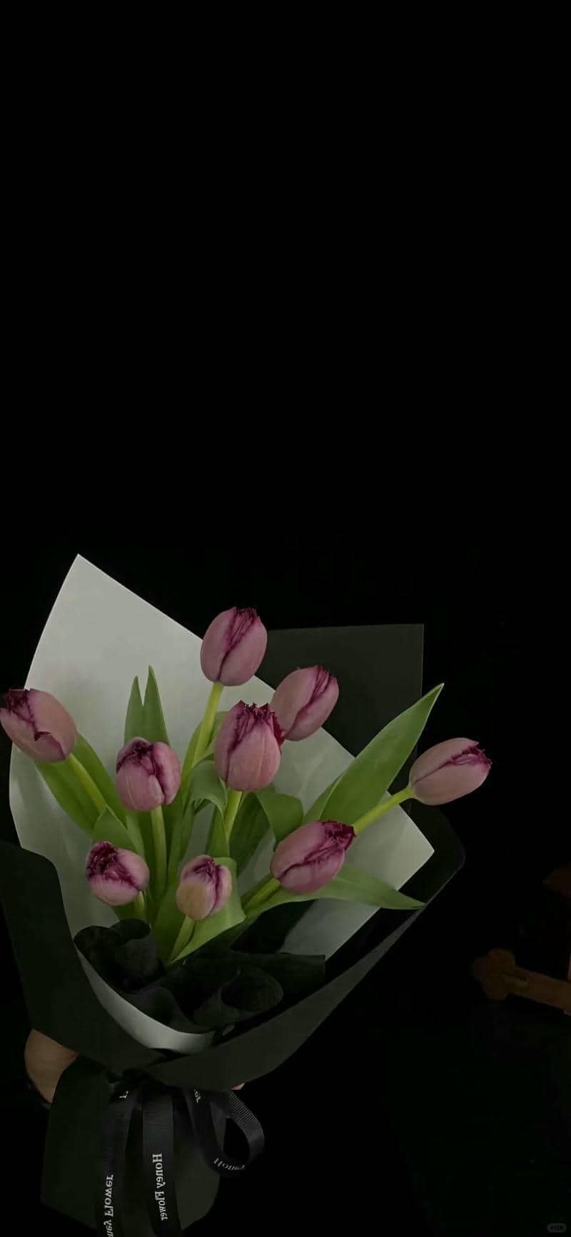 hình nền hoa tulip (1)