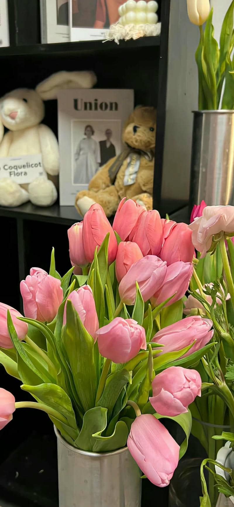 hình nền hoa tulip (16)