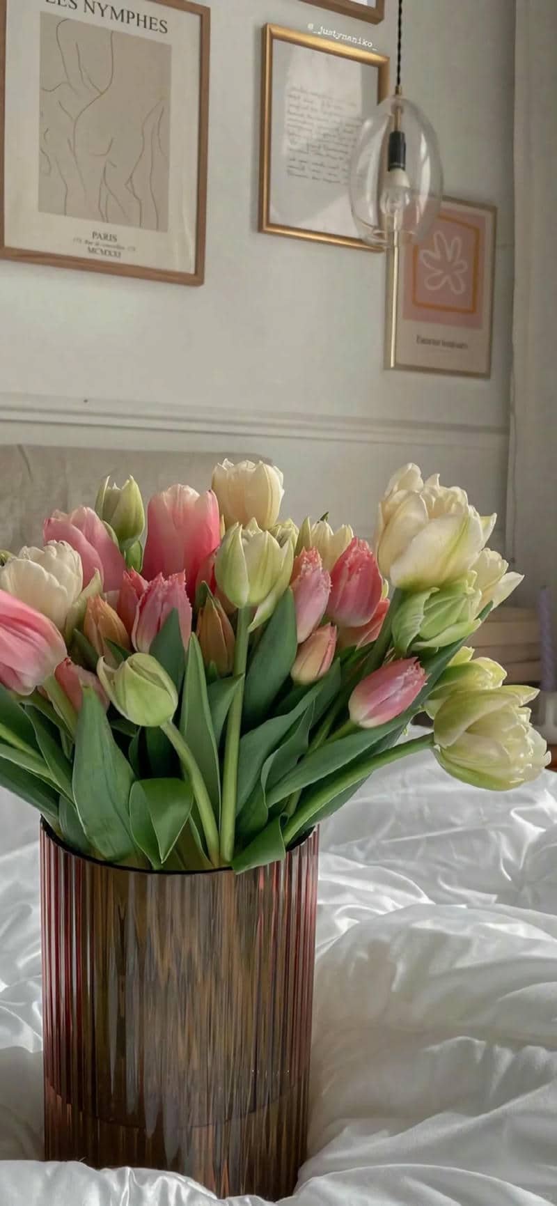 hình nền hoa tulip (25)