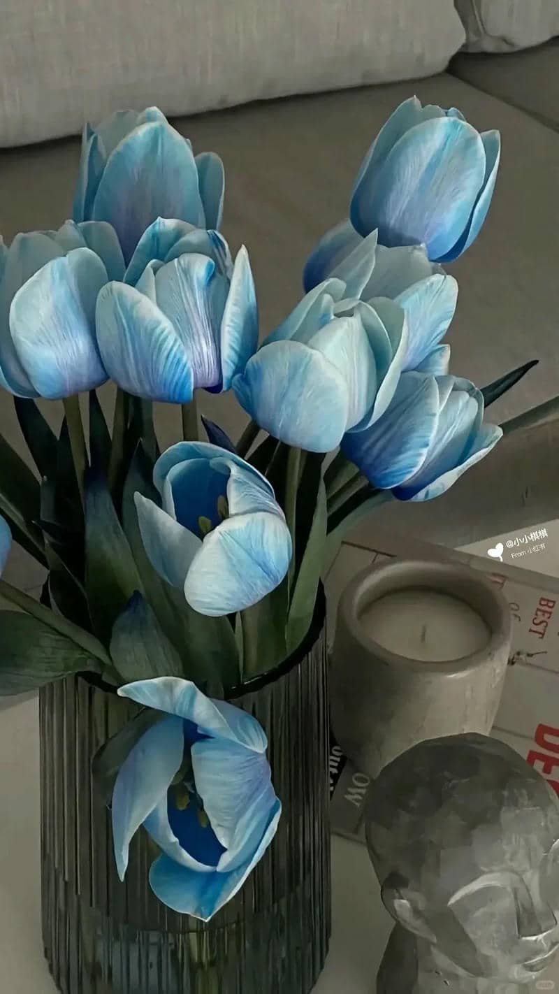 hình nền hoa tulip (30)