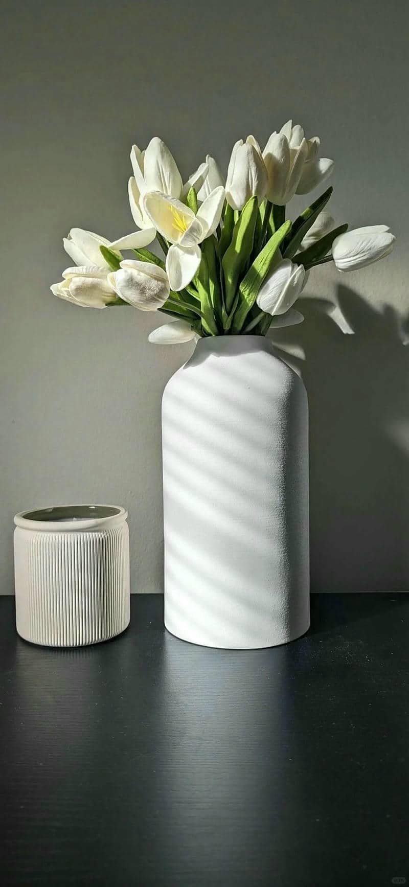 hình nền hoa tulip (32)