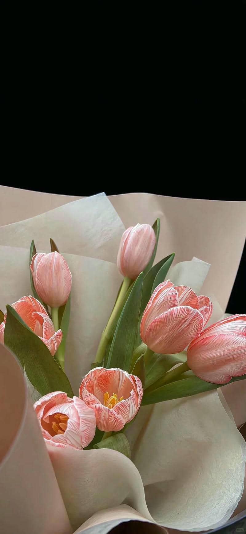 hình nền hoa tulip (35)