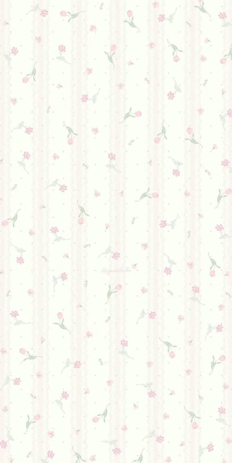 hình nền hoa tulip (43)