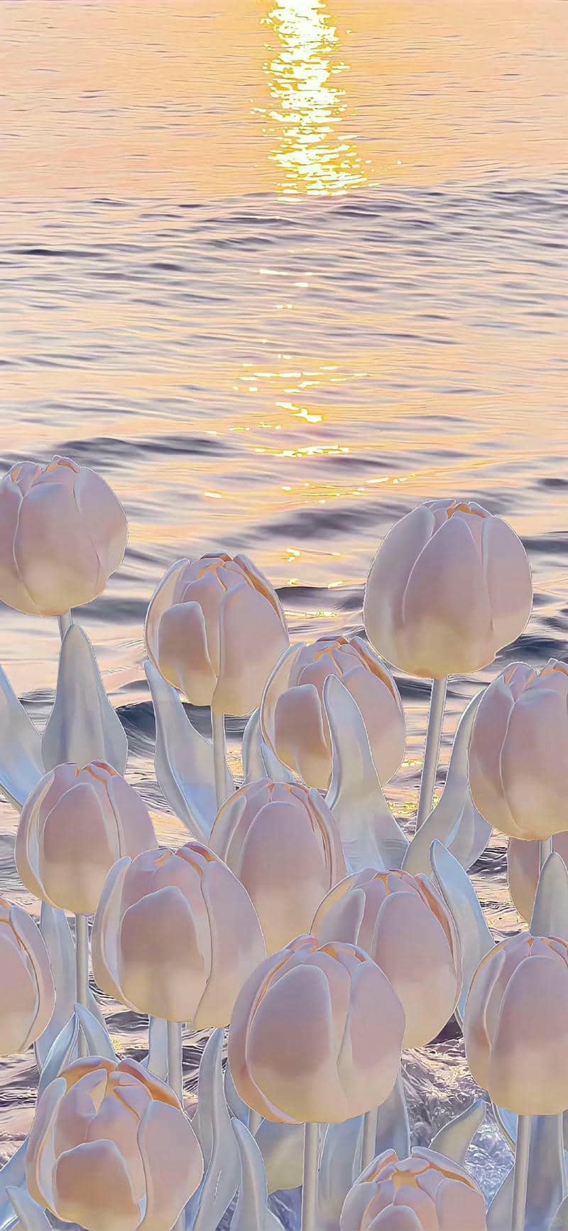 hình nền hoa tulip (9)