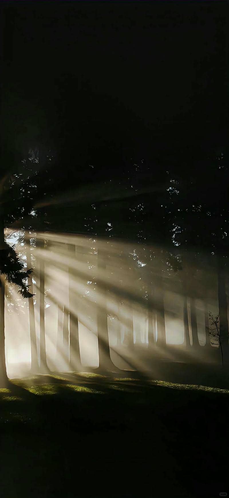 Thumbnail Tổng hợp 60+ hình nền màu đen đẹp, sang trọng và cá tính